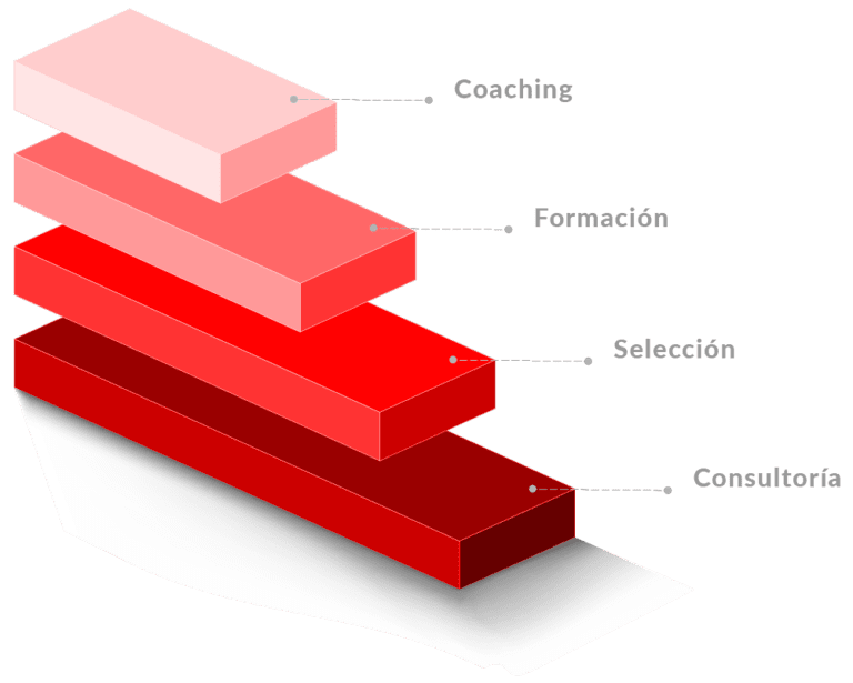 Esquema de trabajo